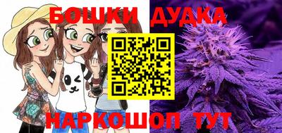 шишки Нальчик