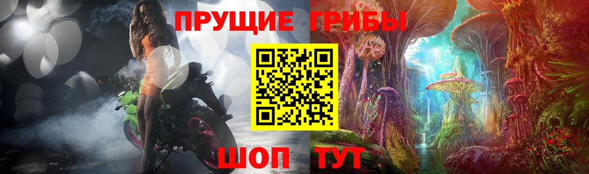 Псилоцибиновые грибы Cubensis Торжок