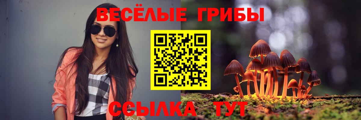 Галлюциногенные грибы MAGIC MUSHROOMS  Вход с VPN  Торжок 